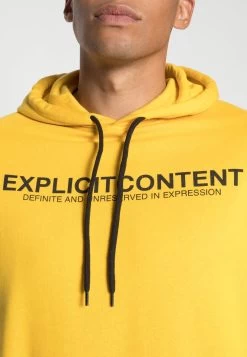 Pier One Sweat à Capuche Petit Prix Pulls Et Gilets Unisex -Pier One b8cbb614fdc04e7a8ff4432dcc2e6ff3